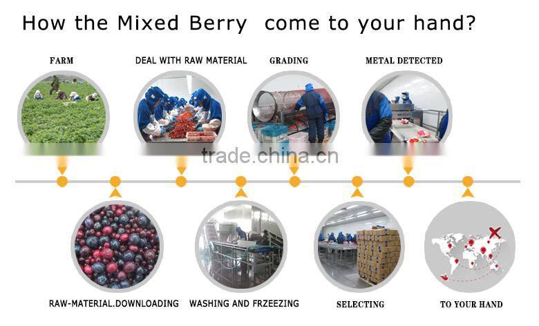 Wholesale iqf frozen fruit and vegetable price list