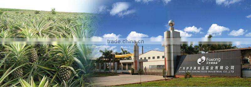 A10 Fruit Cocktail A10