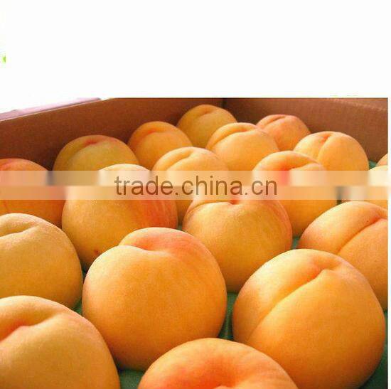 chinesefresh yellow peach canned