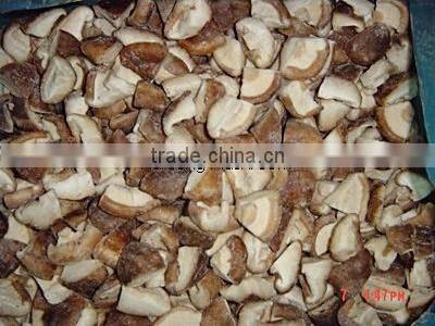 High quality frozen IQF small Oyster Mushroom