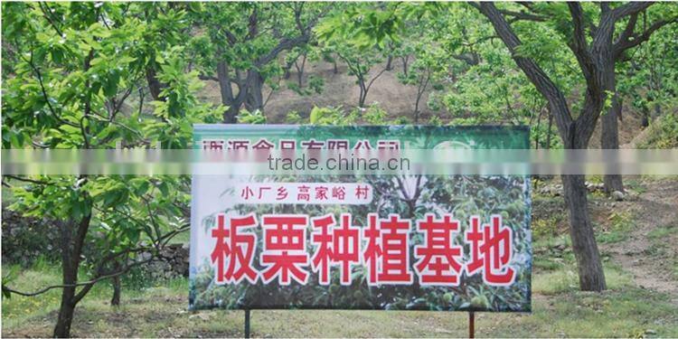 Best quality fresh chestnuts