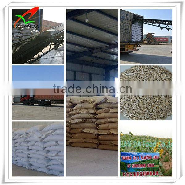 organic pumpkin seeds in shell