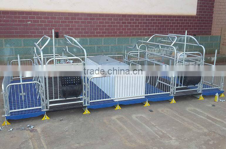 Quality Maternity Stall