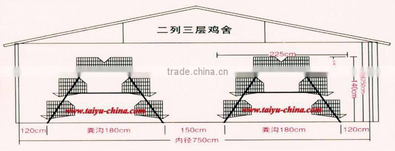 Taiyu full automatic poultry layers equipment