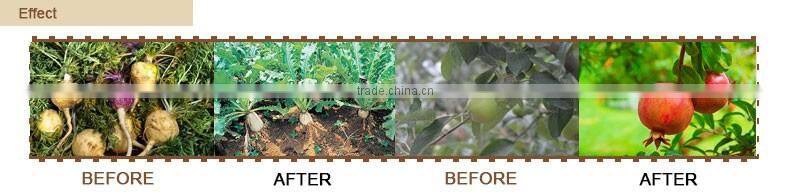 Next-Generation Factory Price organic fertilizer prices