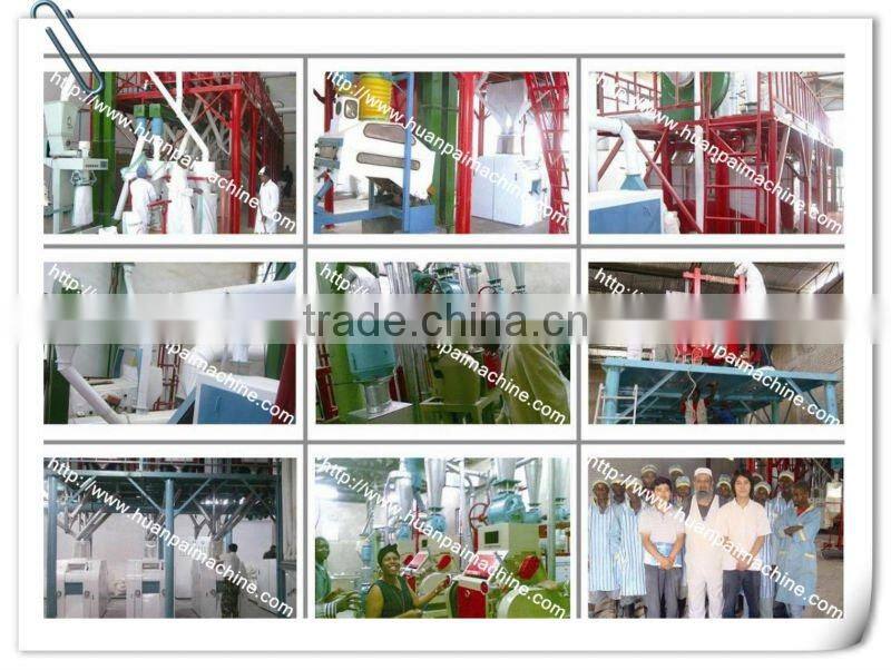 high standard wheat processing line