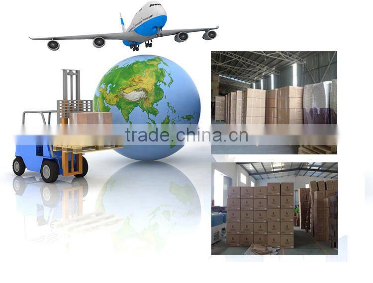 Foldable Play Hot Sell Pet Toy Cat Tunnel