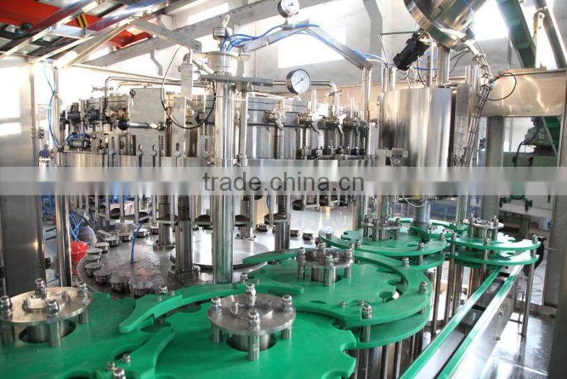 Automatic Small Beer Bottling machine/beer Filling Machine equipment