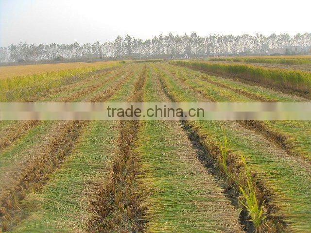 Small grass forage harvester for animal