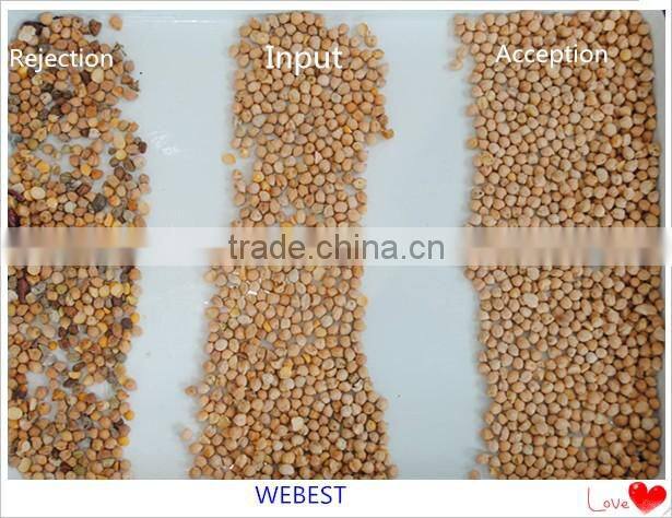 Excellent quality RGB color sorter with engineer overseas servive available