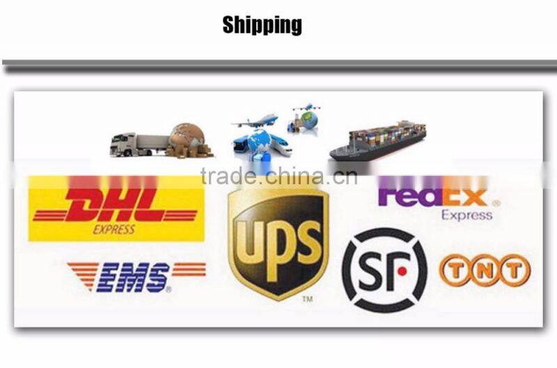 PBLSP0007P 2017 Factory Wholesale Custom Travel Dog Bag Pet Carrier