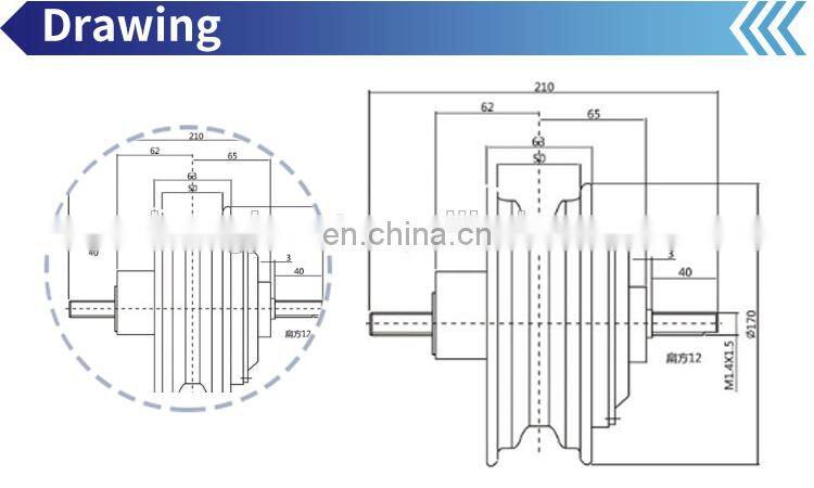 10 Inch 250W 350W 500W 800W Wheel Hub Motor