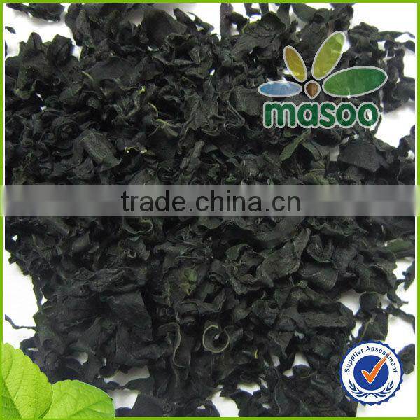 dried kelp seaweed