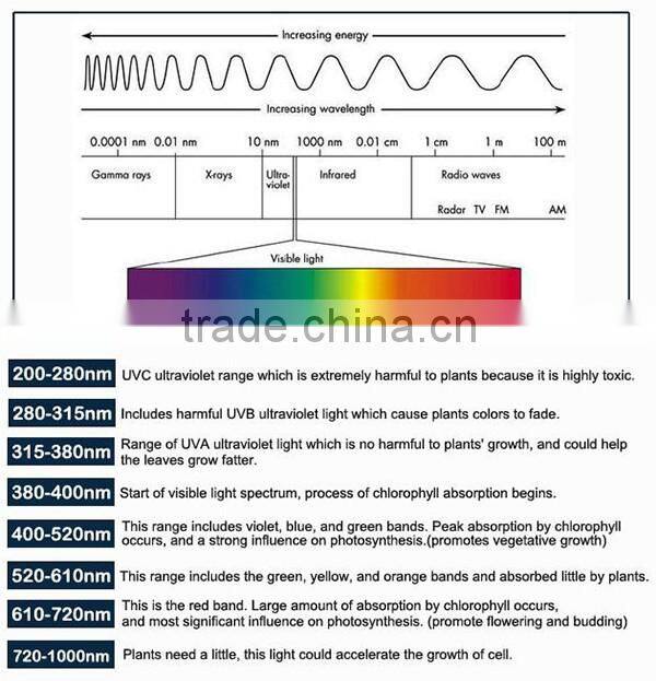 1000w high luminous efficiency led grow light, 5w led + lens 1200w plant grow led light for medical plant clones and flowering
