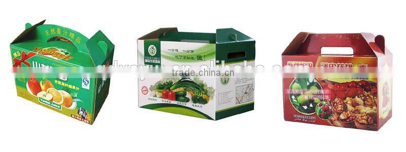 Custom High Quality Apple Packaging Box