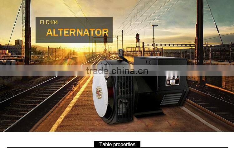 High Output High Speed Dynamo For Electric Generator