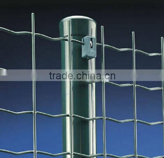 PVC Coated Welded Euro Fence (2''X2'')(THE REAL FACTORY)