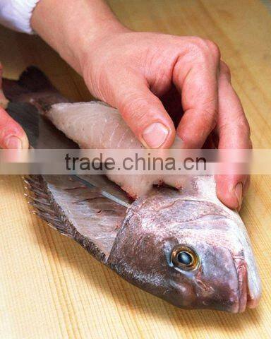 Japanese Kitchen Knife "Issei Series" DEBA 225mm blade