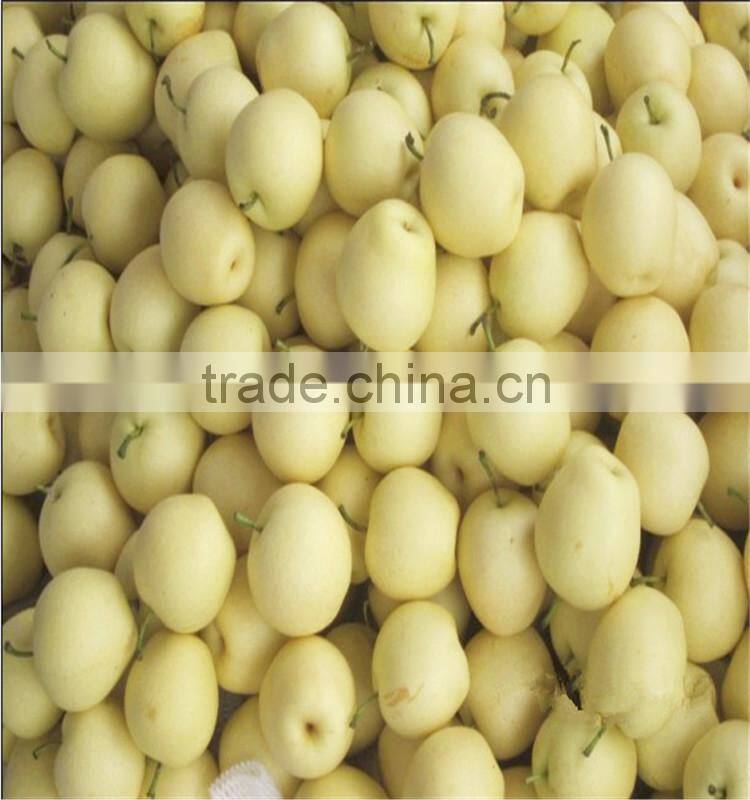 He Bei Fresh ya pear