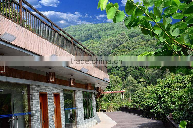 3.8W Solar power outdoor LED garden lights / LED sensor motion lights