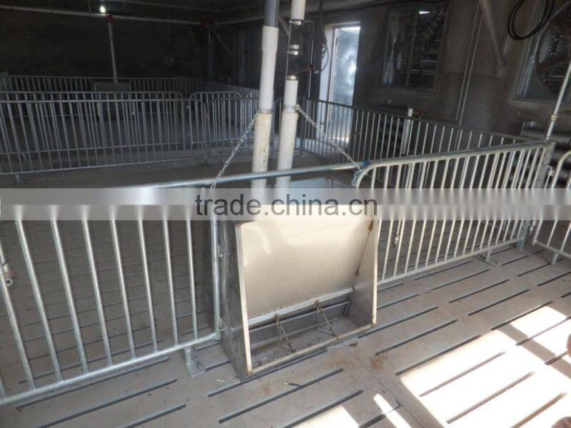 Pig stainless steel double sided, three-head feeder