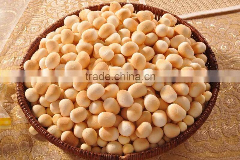 HFC japanese jingdu cookies, mini round shape biscuits with lemon and honey flavour