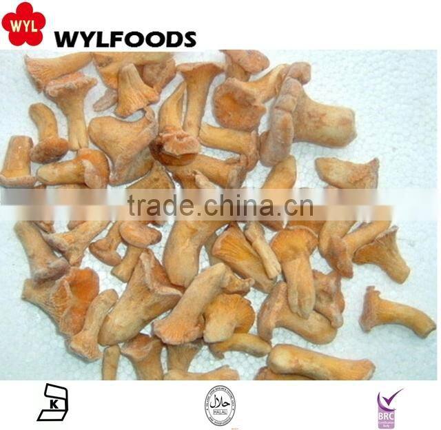 2015 IQF high quality frozen wild Chanterelles