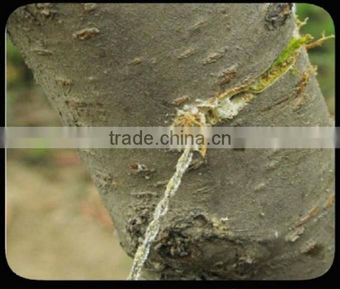 2014 Stainless Steel Wire Rope Pocket Saw Emergency Commando Survival Hunting Saw China