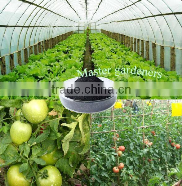 Master gardeners organic seaweed fertilizer