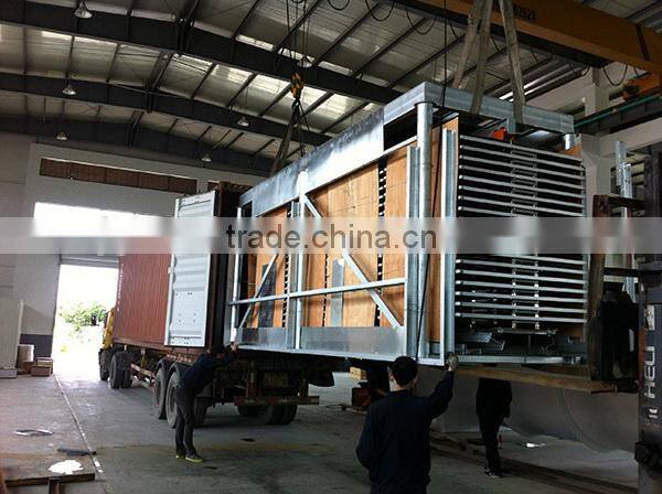 IQF frozen vegetables production line for vegetables and fruits