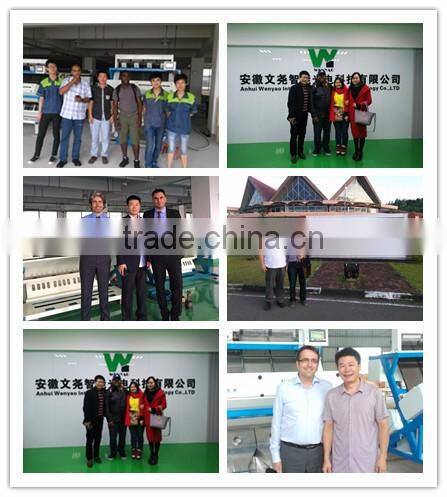 High Accuracy CCD Color Sorting Machine Rice Wheat Beans Grain Plastic Sorting Machine