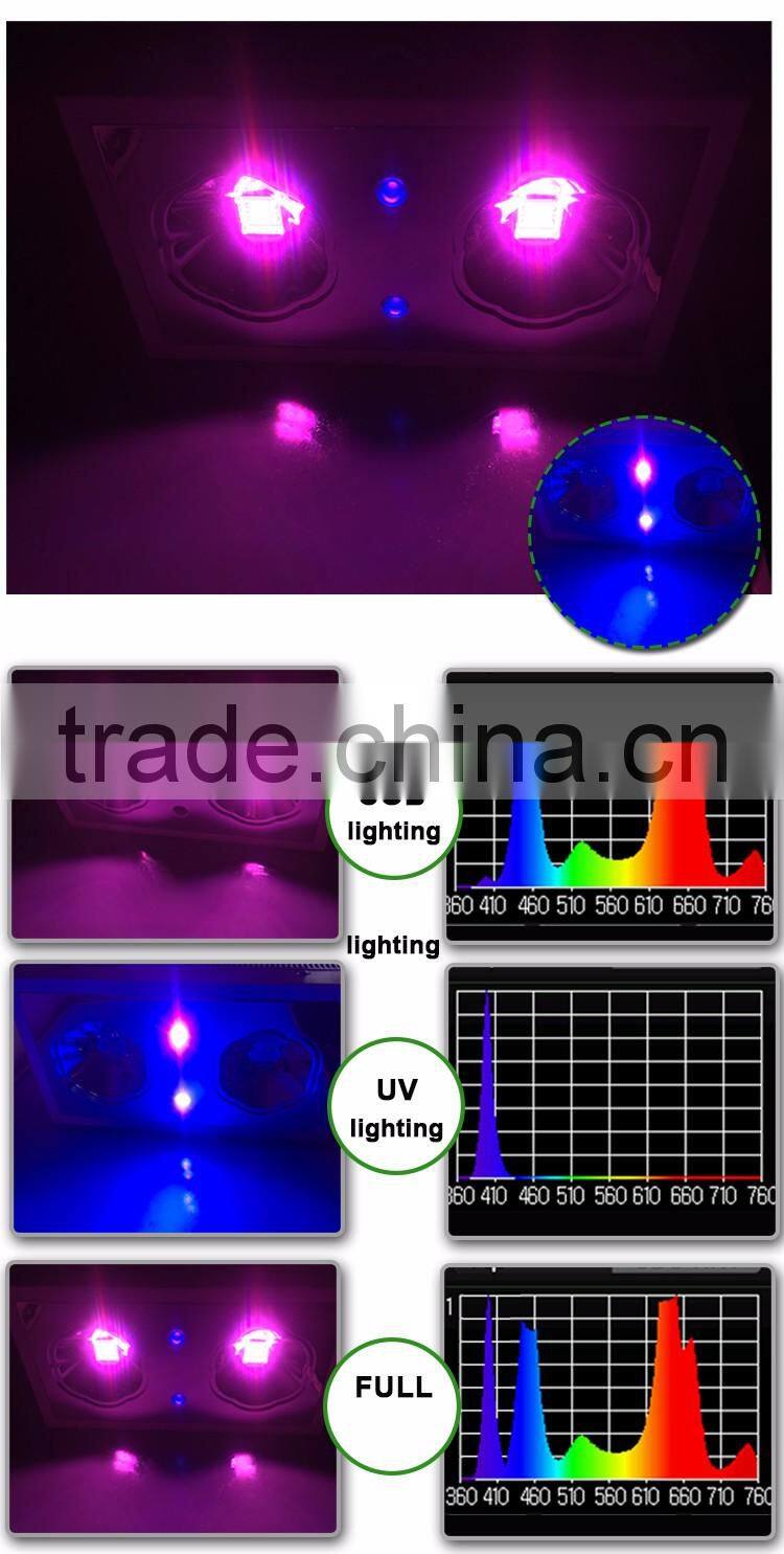 370W UV IR Led Flower Light Lamp From Shenzhen Factory