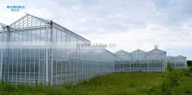 Fiberglass sheet for greenhouse
