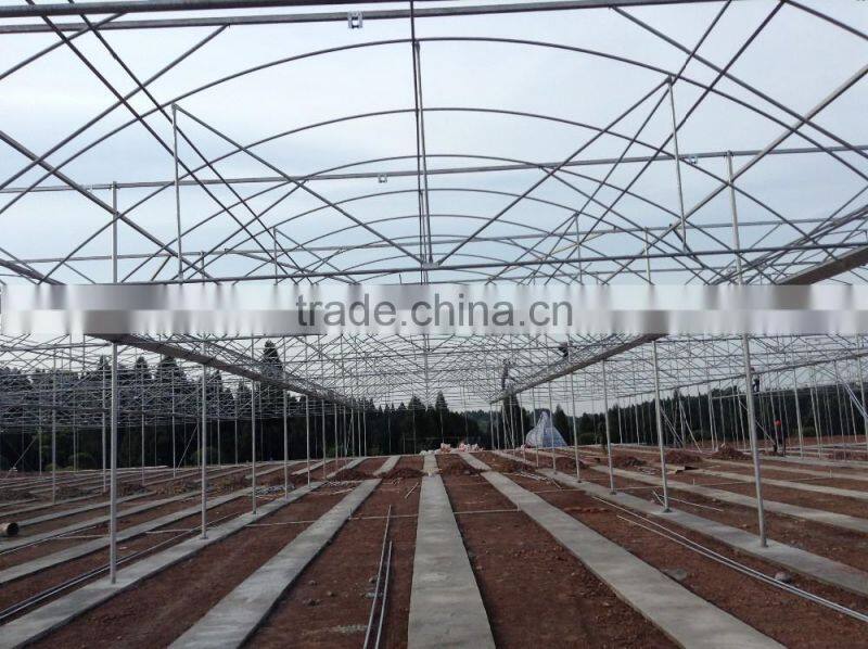 Prefabricated Steel Frame Green house With Plastic Covering
