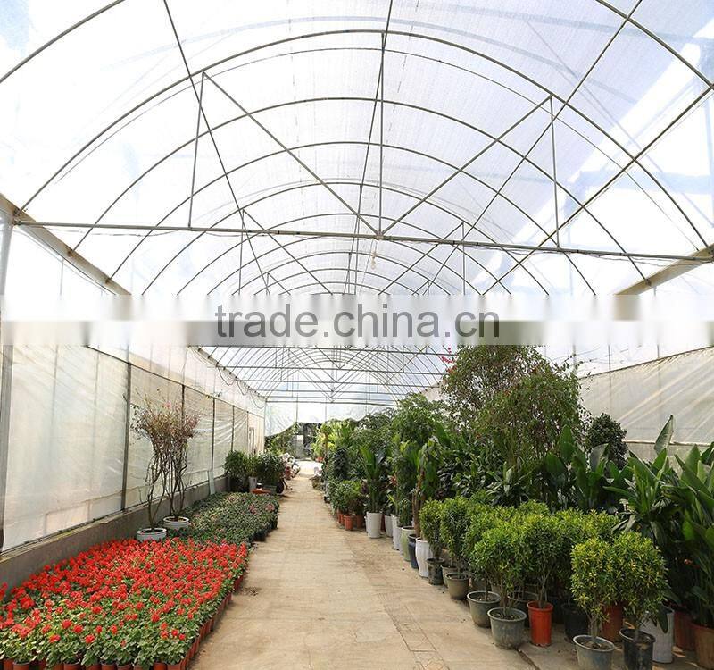 Film Cover Material and Multi-Span Agricultural Commercial Greenhouses