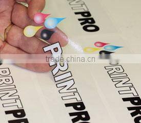 Vinyl Lettering and Sticker