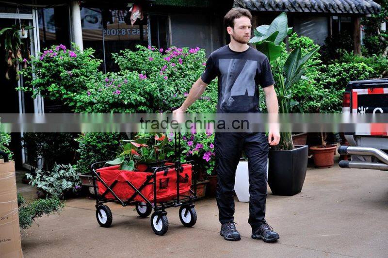 Picnic/Shopping Cart