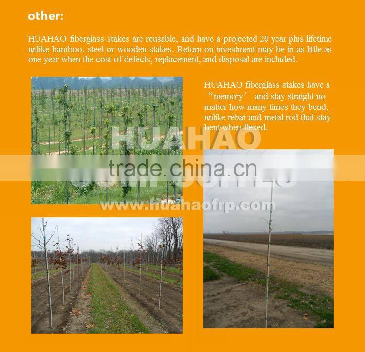 Fiberglass Garden Plant Support,High Strength Flexible Super UV Durable fiberglass plant support rod fast delivery