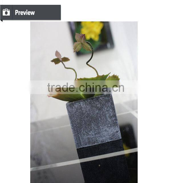 Succulent plants potted succulent artificial bonsai plant succulent