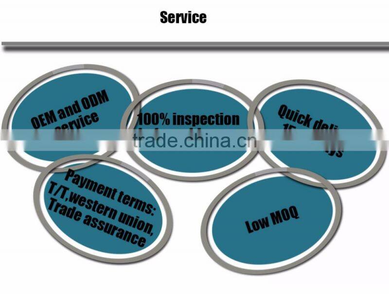 PBLSP0007P 2017 Factory Wholesale Custom Travel Dog Bag Pet Carrier