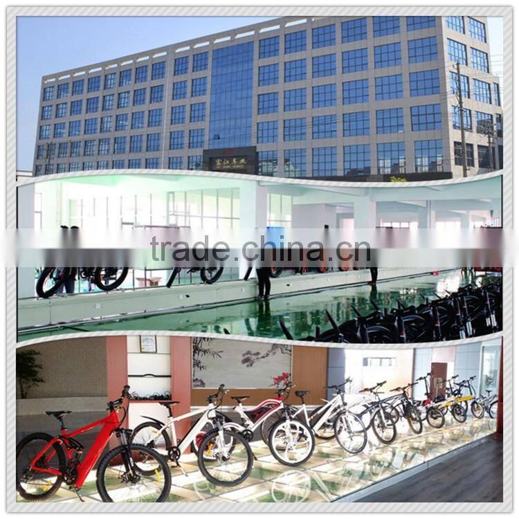 2015 simple shape 20inch folding electric bike battery rack with EN15194