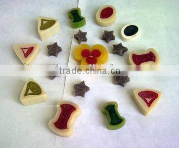 Dog treats machine/machinery/dog gum machine