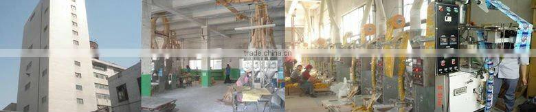 Phosphorus Free Washing Powder for Hand Wash