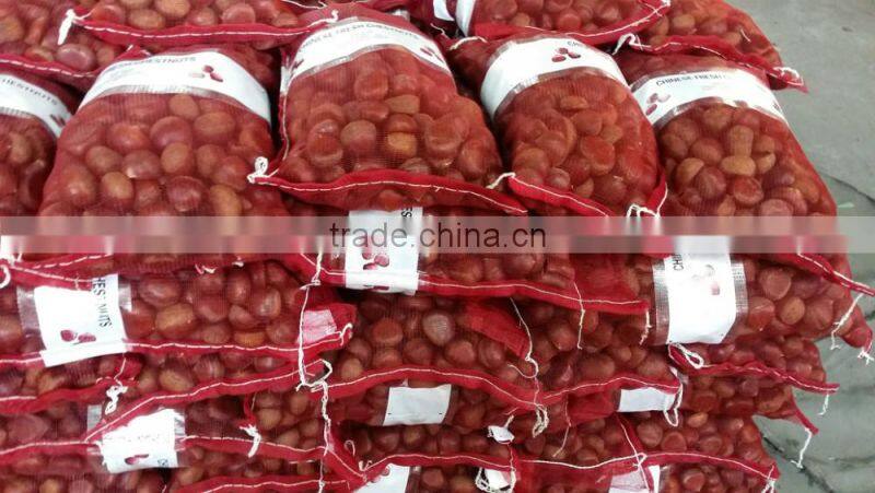 2015 new crop of the chestnut with highest quality