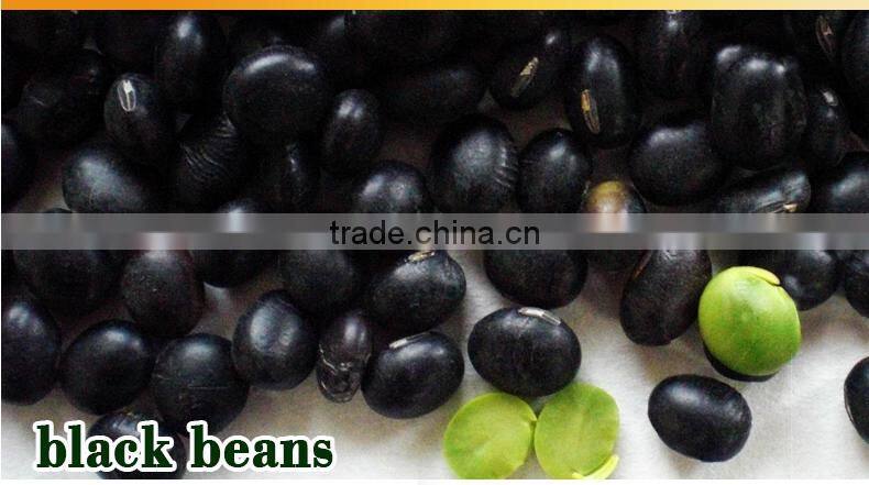 Sell Bake for black beans/Baked black beans