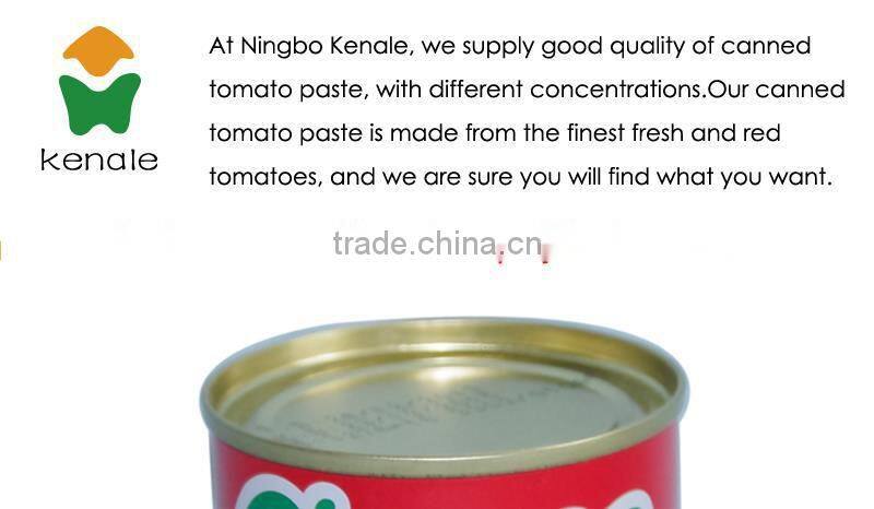 tomato paste manufacturer experienced for Nigeria market in 70gx50tins