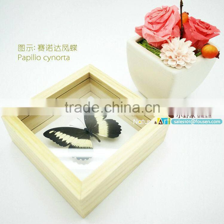 FOUSEN(011) Nature& Art natural real dried butterfly unique table frame