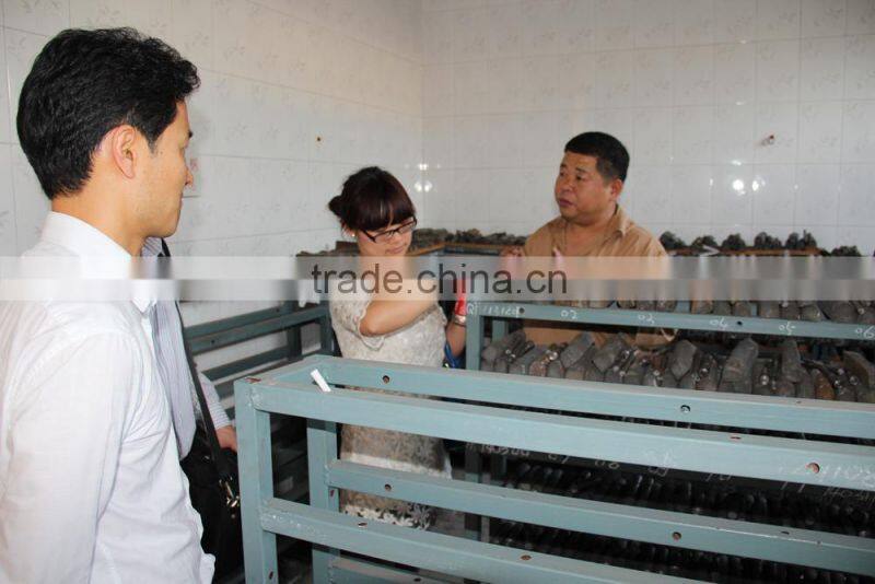 brass 50 mesh strainer