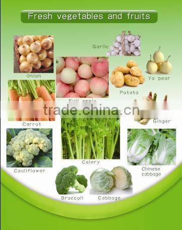 Frozen Strawberry best selling products