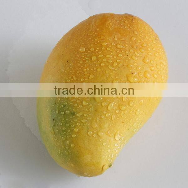 Lifelike Artificial fruits and vegetables model / Lemon prop